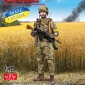 ICM, Soldier of the Armed Forces of Ukraine, 1:16