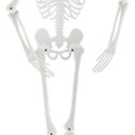 Selvlysende skelet, 160 cm